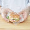La nourriture commerciale de sandwich en plastique met en sac la gravure claire de film imprimant la longévité élevée